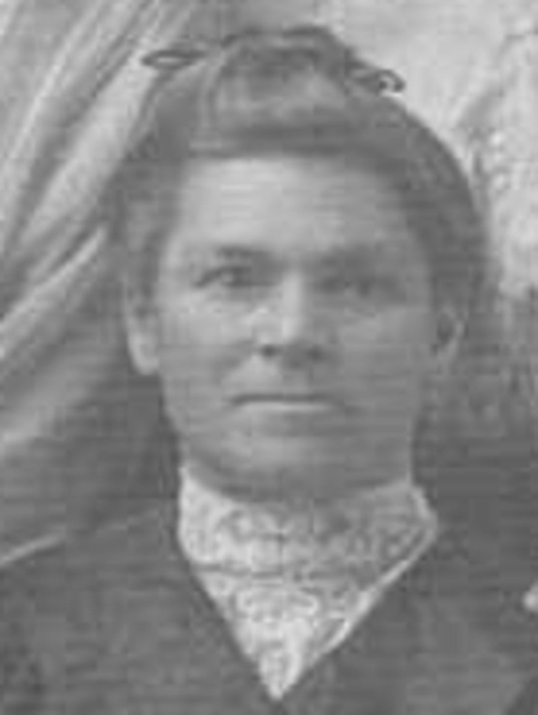 Phebe Abigail Abbott (1831 - 1914) Profile